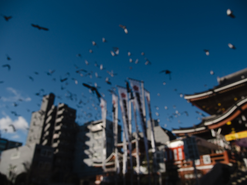 f:id:karaage:20181230144619j:plain:w640