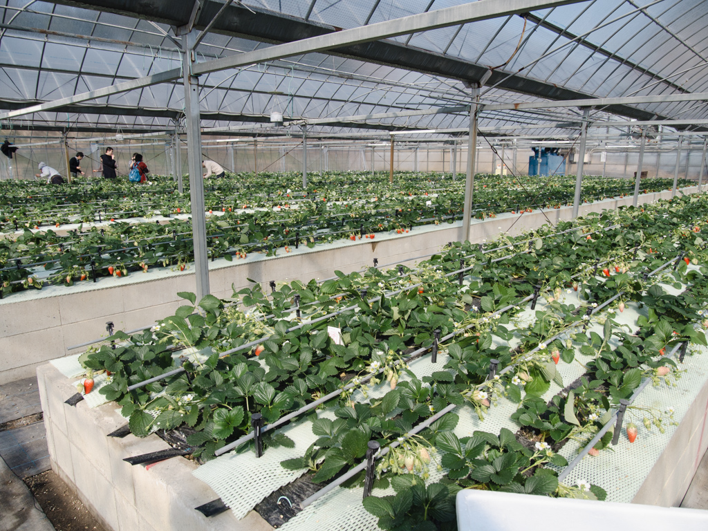 f:id:karaage:20190217103654j:plain:w640