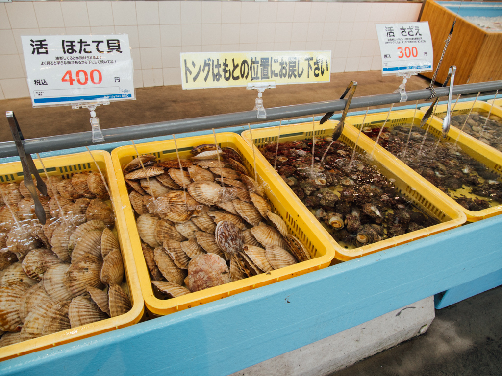 f:id:karaage:20190217133058j:plain:w640