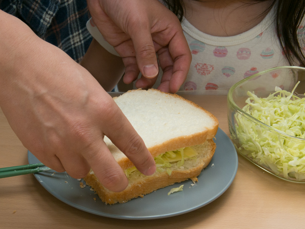 f:id:karaage:20190316193506j:plain:w640