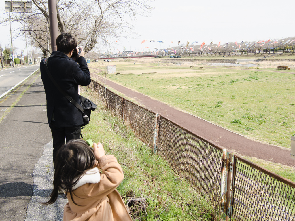 f:id:karaage:20190323134711j:plain:w640