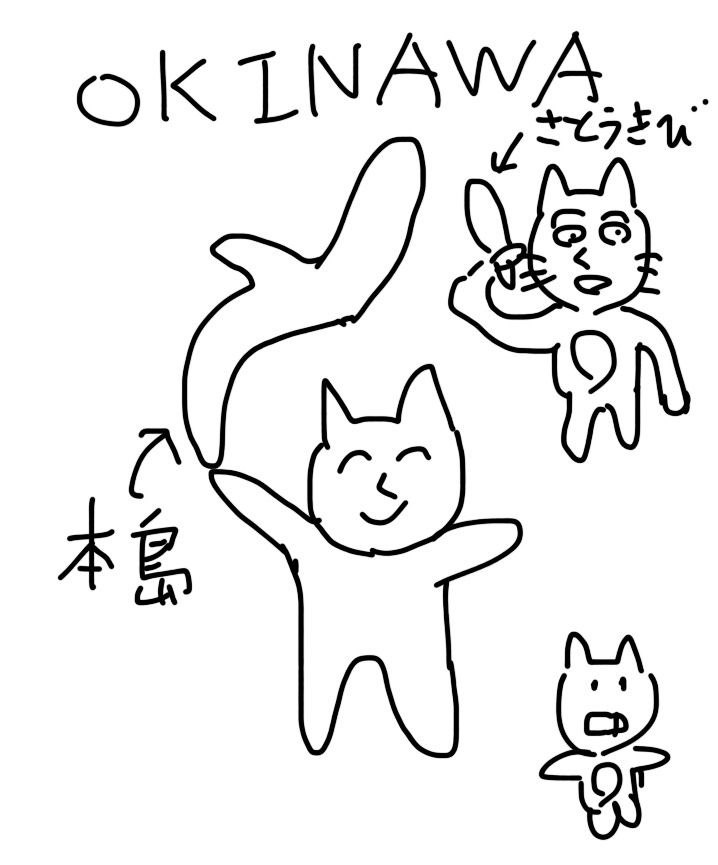 f:id:karaage:20190417230651j:plain:w480