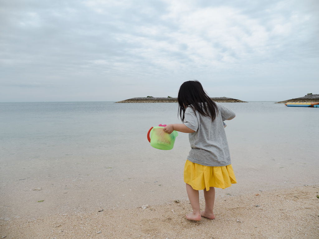 f:id:karaage:20190419152037j:plain:w640