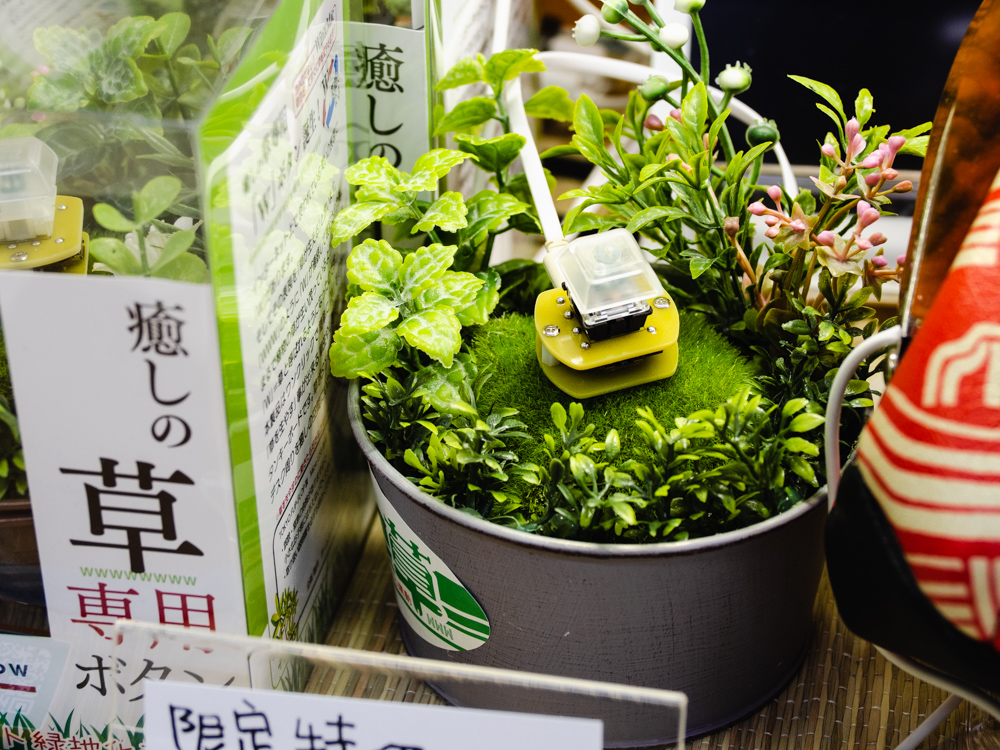 f:id:karaage:20190610144146j:plain:w640