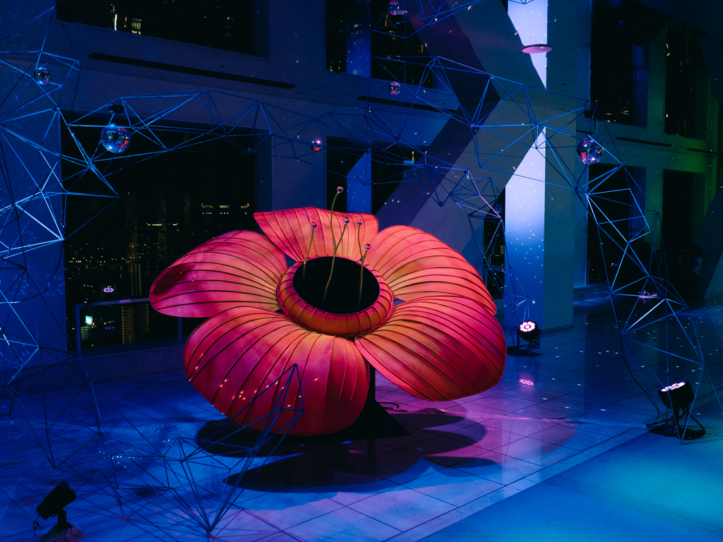 f:id:karaage:20190831214119j:plain:w640