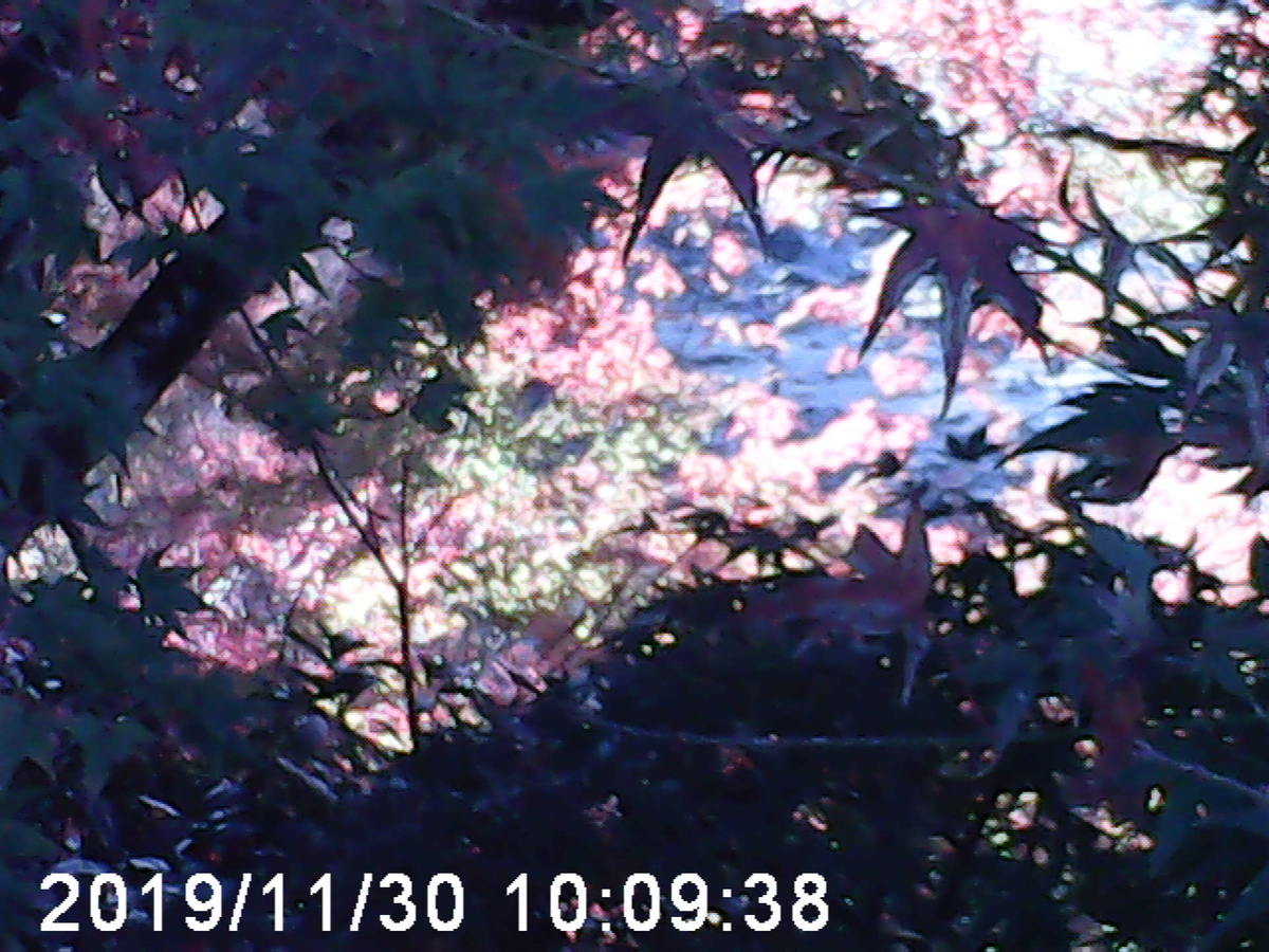f:id:karaage:20191201185608j:plain