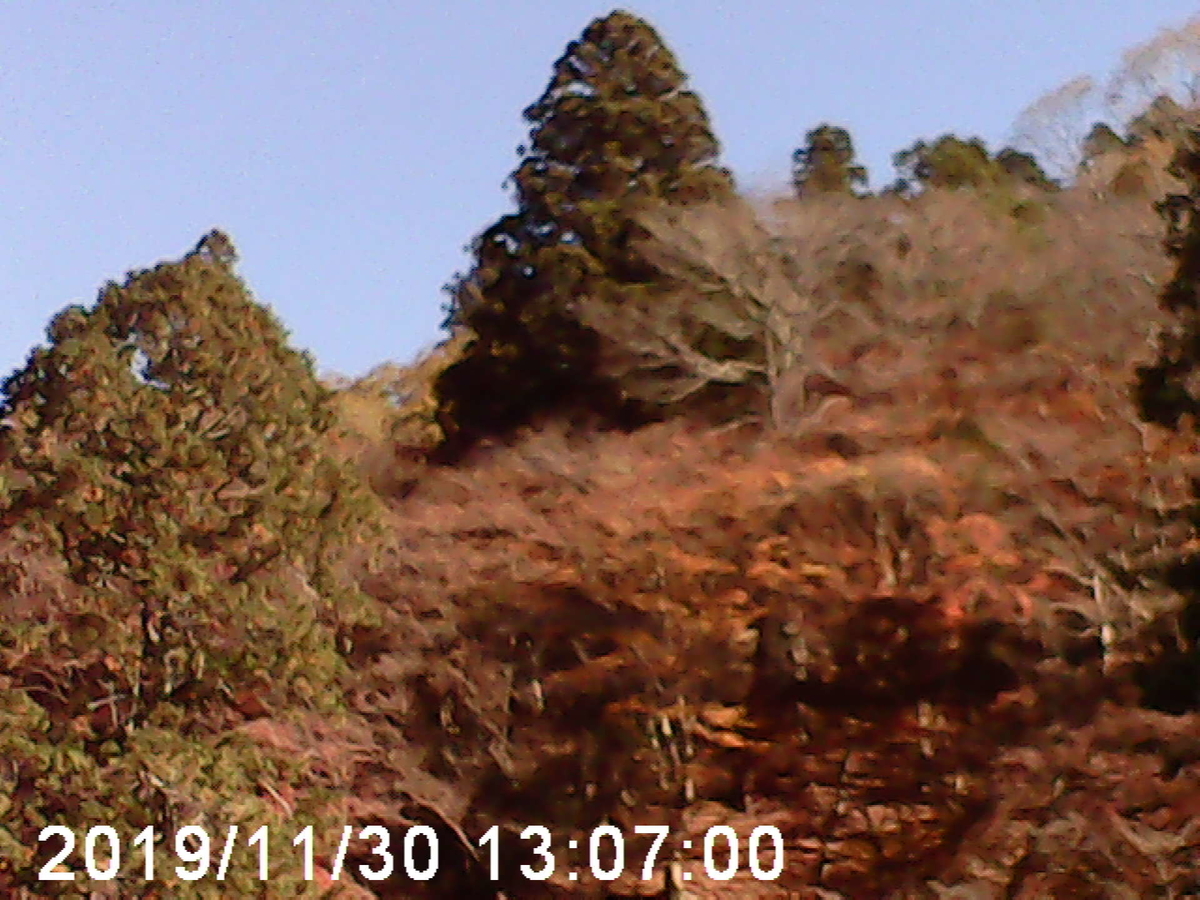 f:id:karaage:20191201185626j:plain