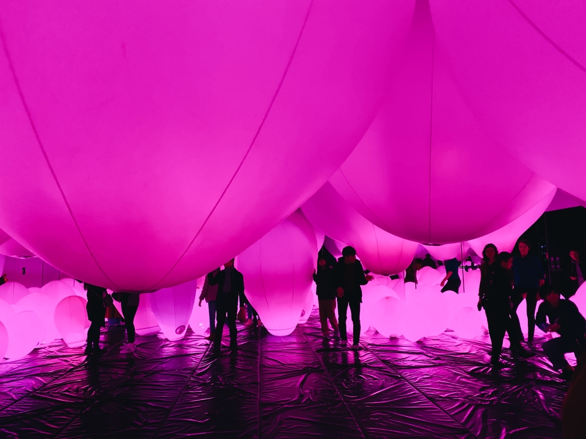 f:id:karaage:20200107163254j:plain:w640