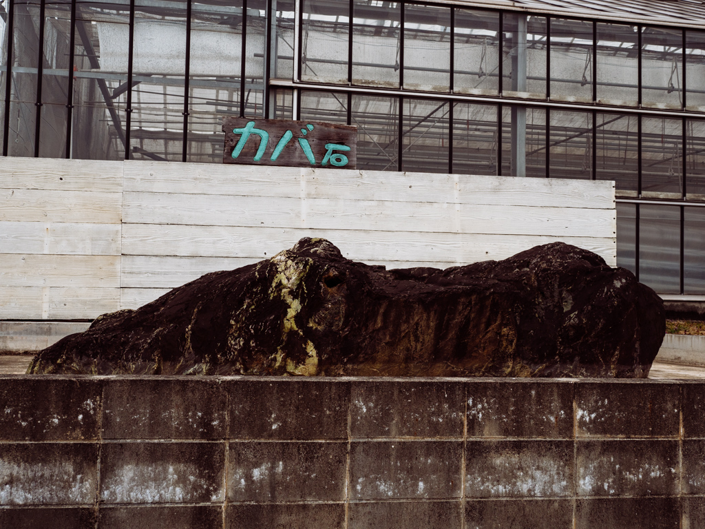 f:id:karaage:20200222111405j:plain:w640