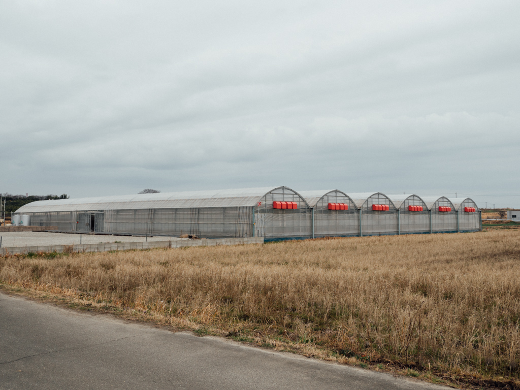 f:id:karaage:20200222111413j:plain:w640