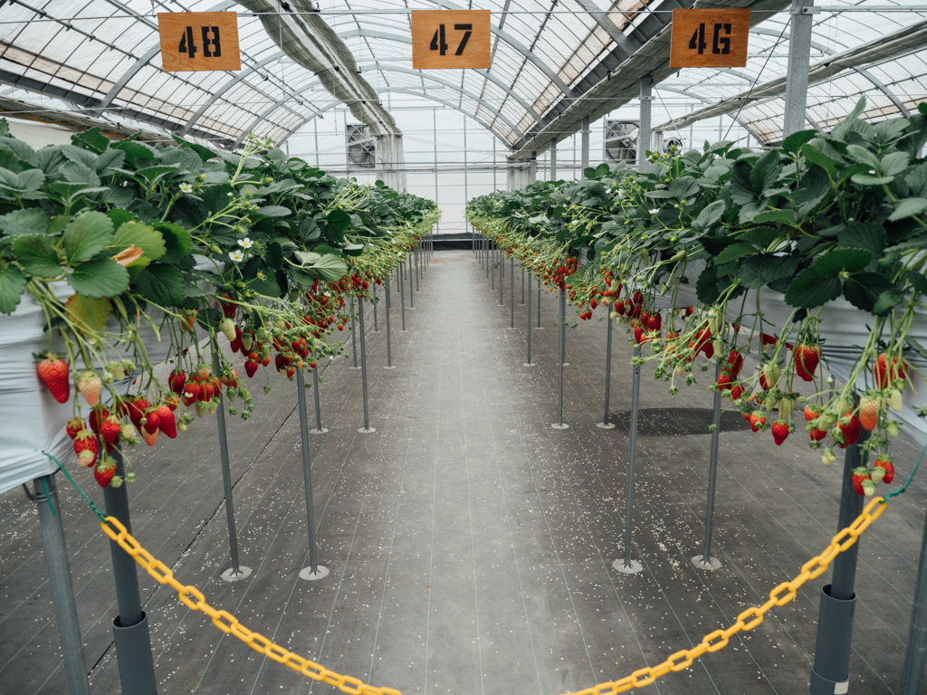 f:id:karaage:20200222111522j:plain:w640