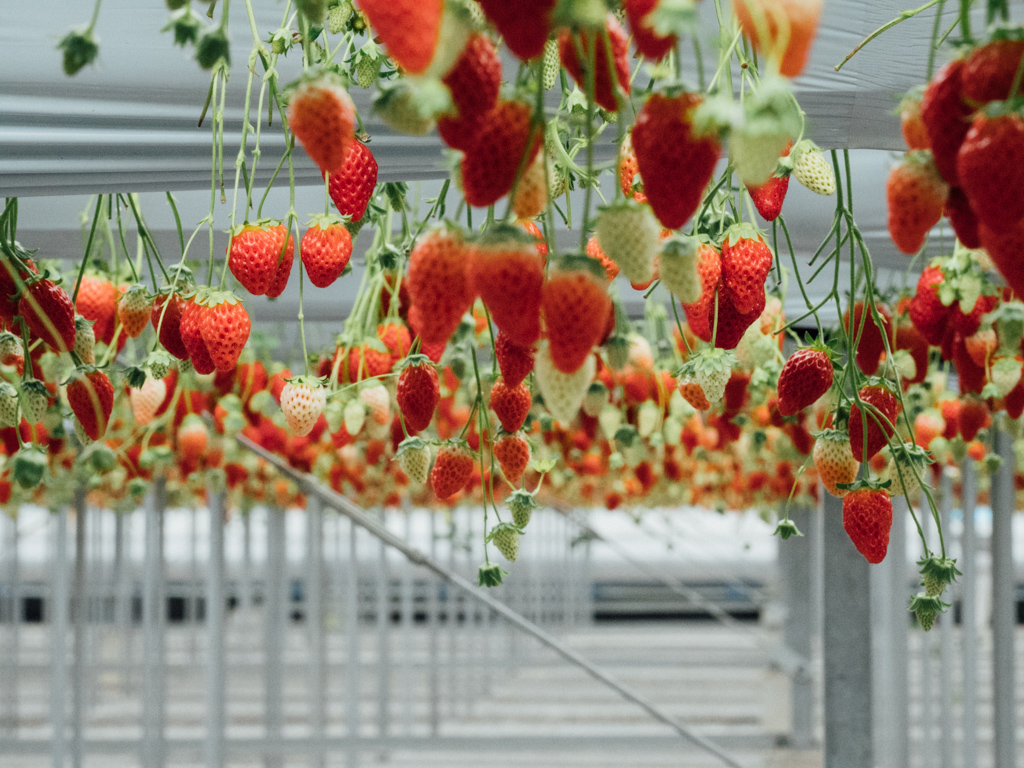 f:id:karaage:20200222113650j:plain:w640