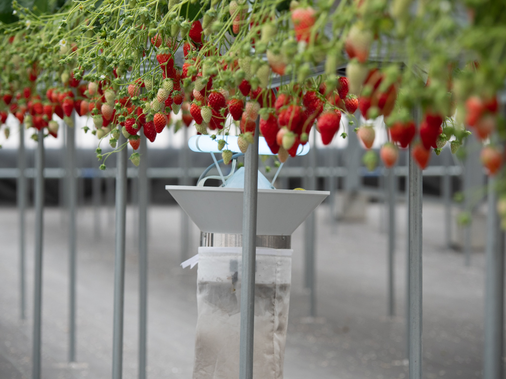 f:id:karaage:20200222114230j:plain:w640