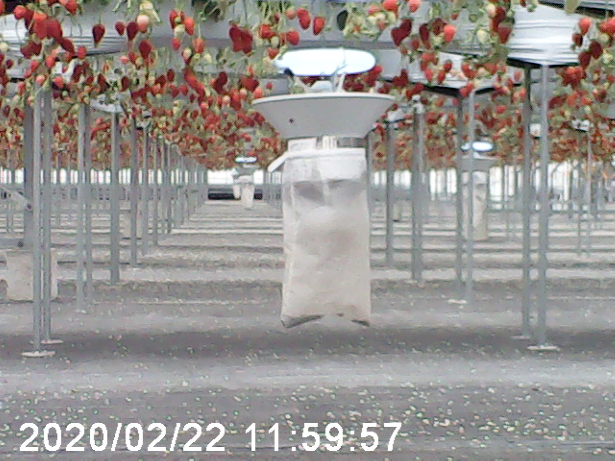 f:id:karaage:20200224225520j:plain