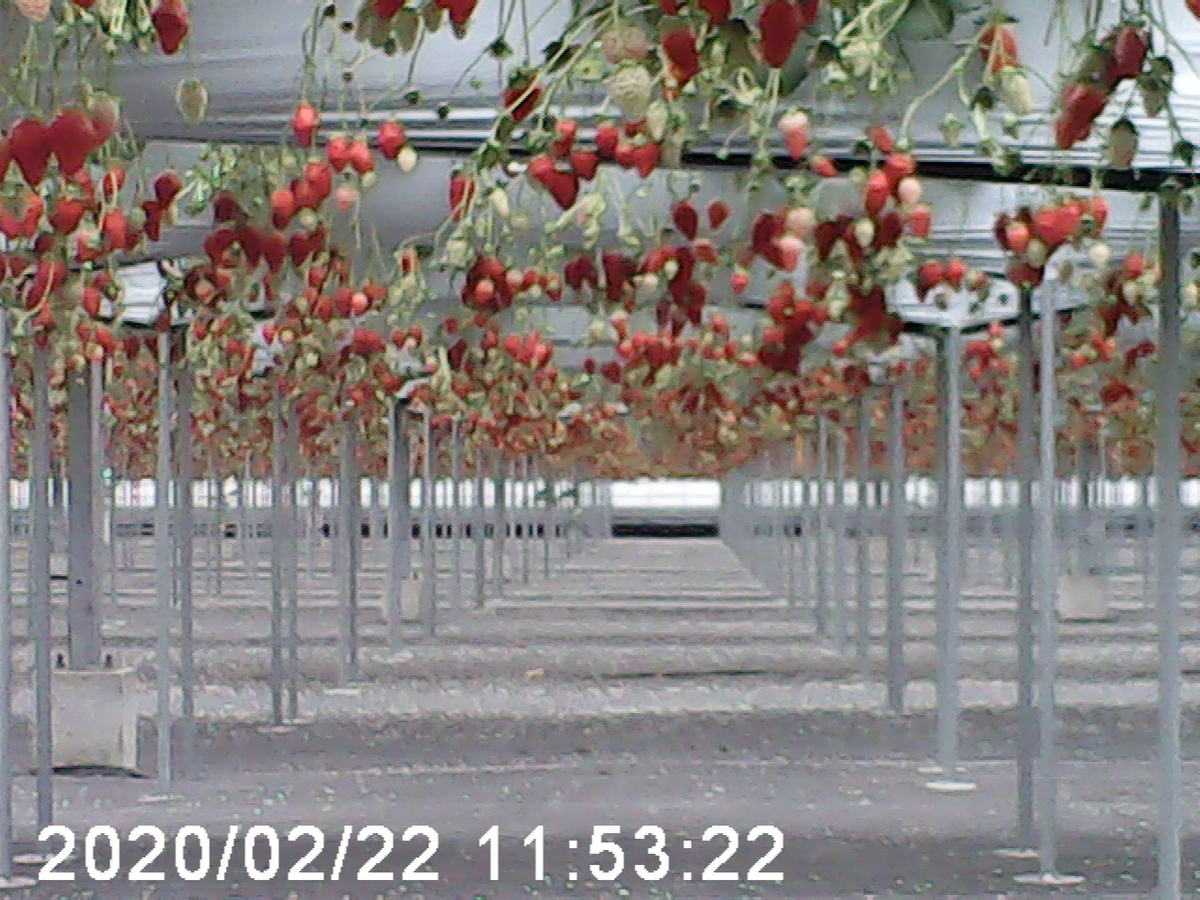 f:id:karaage:20200224225524j:plain