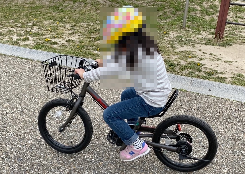 f:id:karaage:20200417104610j:plain:w640