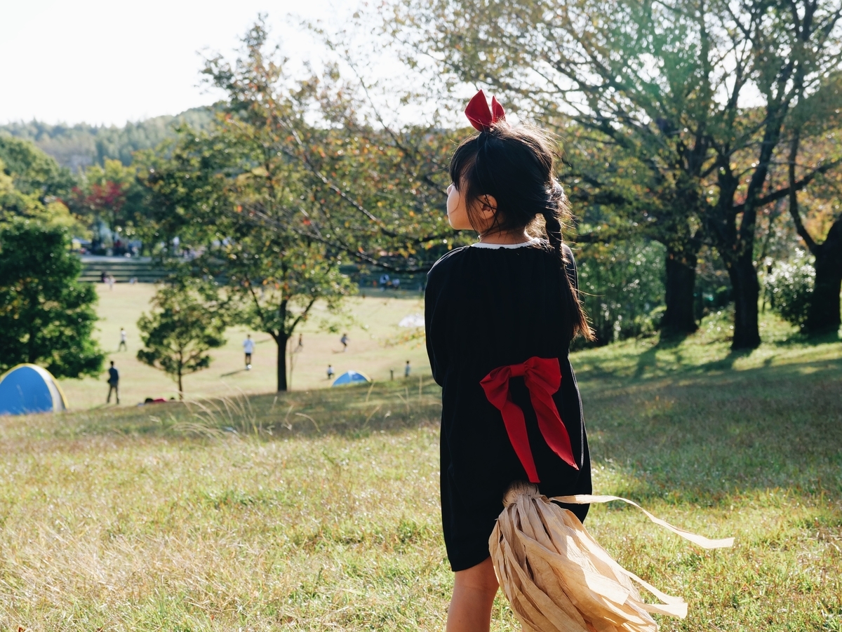 f:id:karaage:20201025150806j:plain:w640
