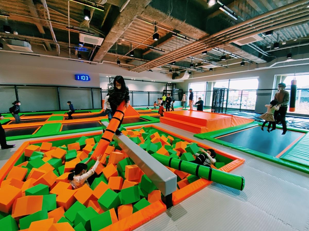 f:id:karaage:20210228110321j:plain:w640