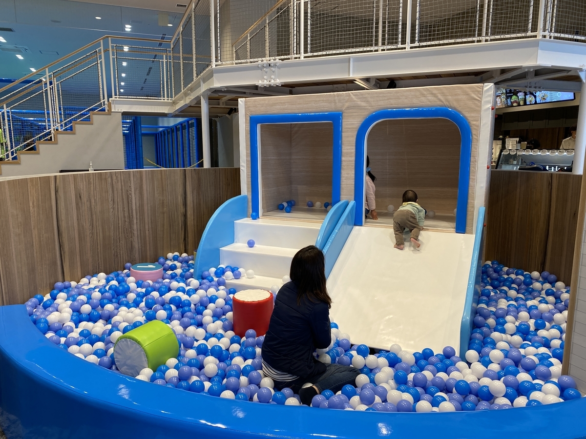 f:id:karaage:20210228112321j:plain:w640