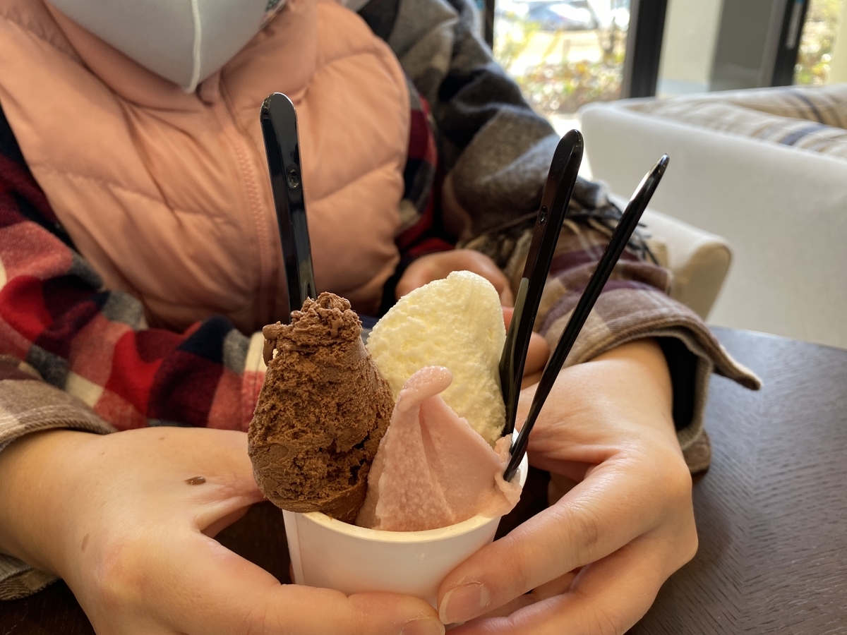 f:id:karaage:20210228113225j:plain:w640