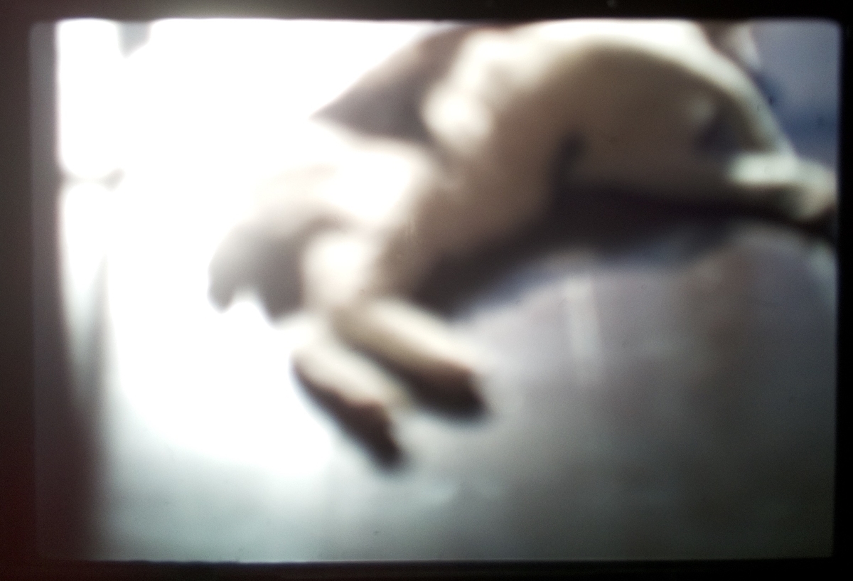 f:id:karaage:20211219135704j:plain:w640