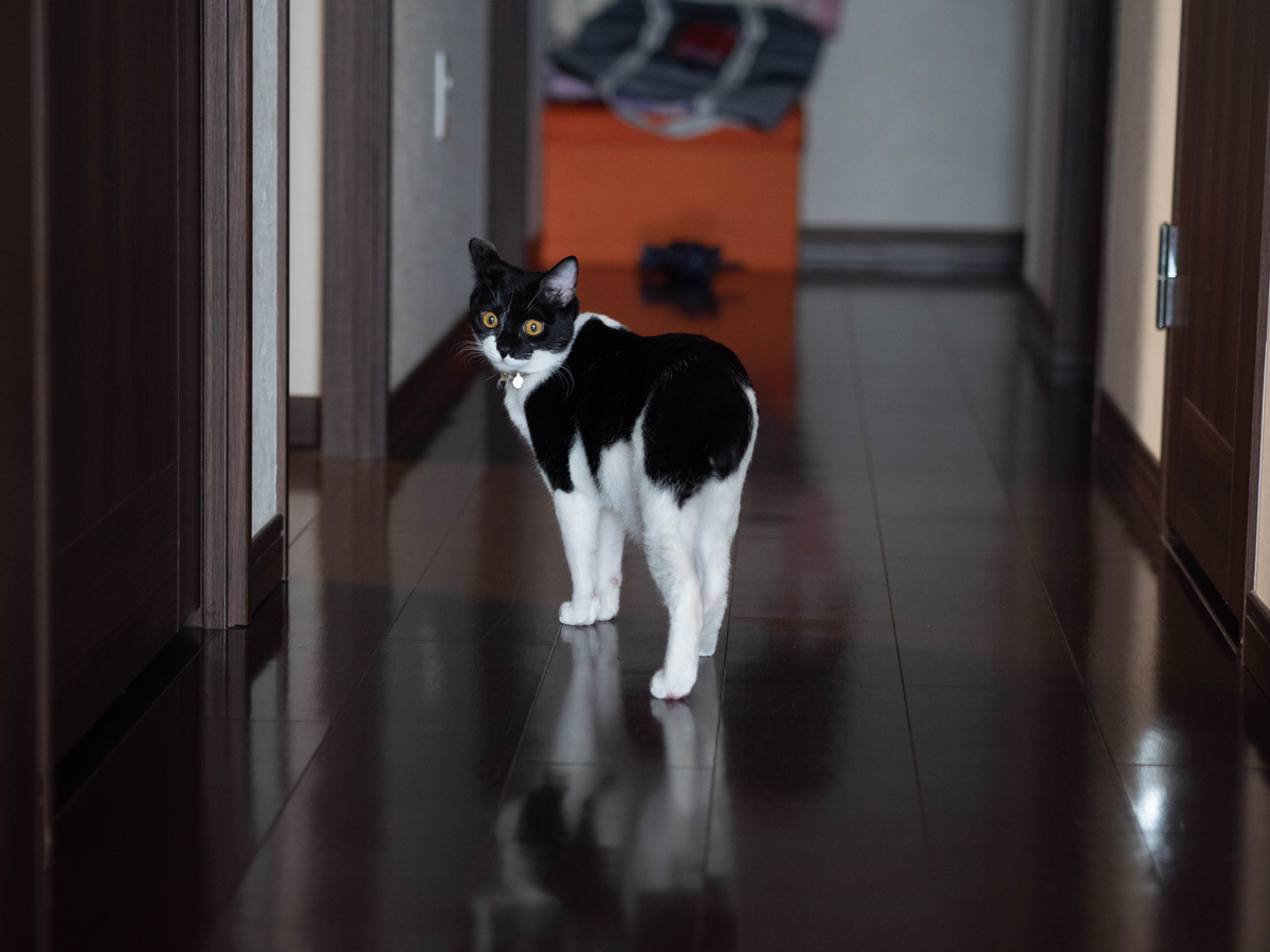 f:id:karaage:20220123123859j:plain:w640