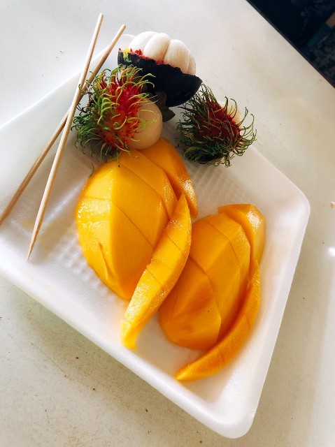 f:id:karaage0141:20190725201338j:image