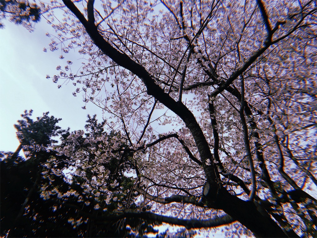 f:id:karaagebimi:20180402010036j:image f:id:karaagebimi:20180402010036j:image