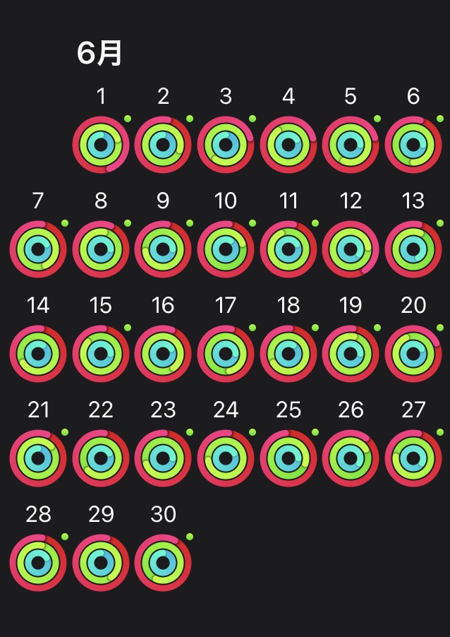 f:id:karaageboy:20210701083124j:plain