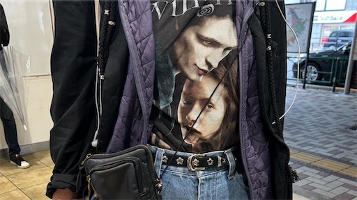 f:id:karaagetolemon:20250914175242j:image