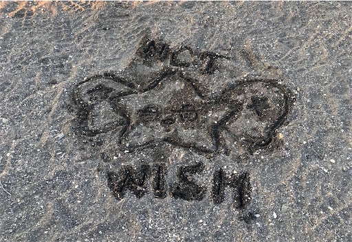 f:id:karaagetolemon:20250915115437j:image