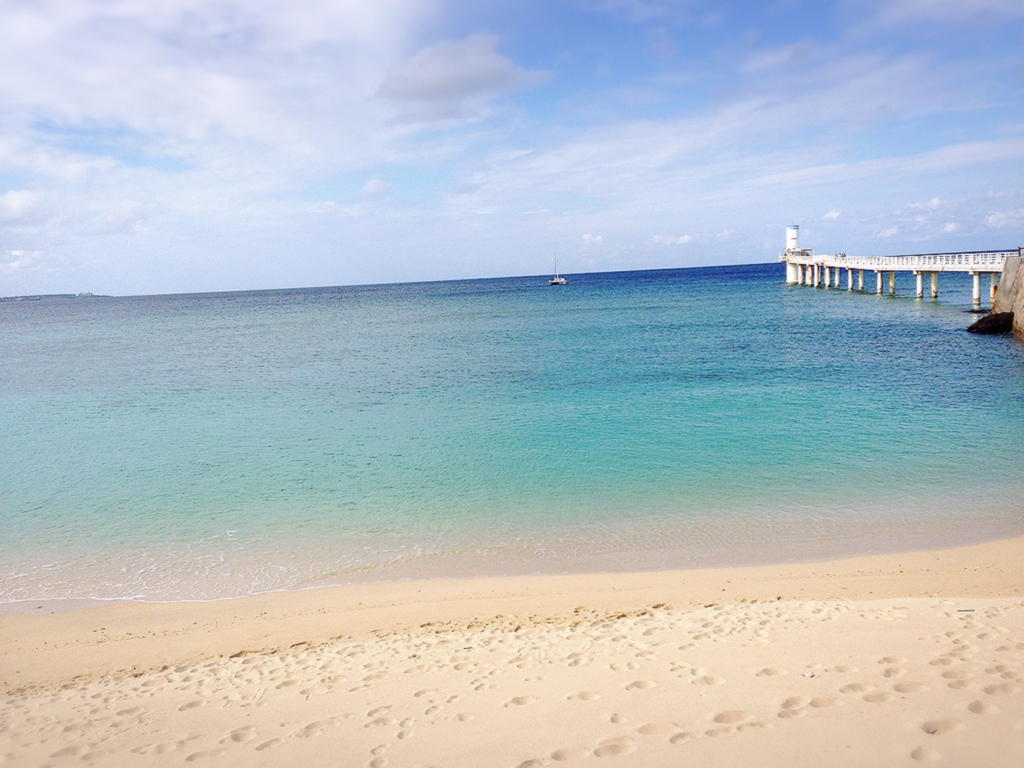 f:id:karadamajikitsui:20160328012512j:plain