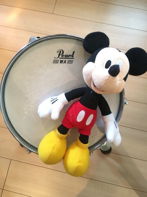 f:id:karadamajikitsui:20200504151309j:plain f:id:karadamajikitsui:20200504151309j:plain