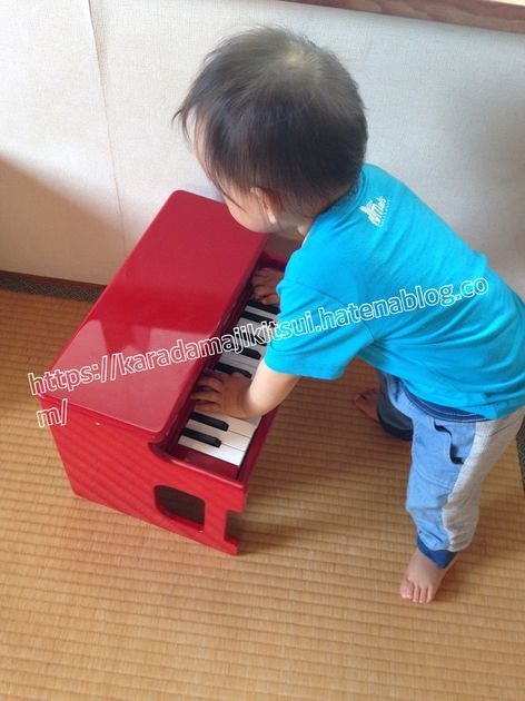 f:id:karadamajikitsui:20200507134212j:plain f:id:karadamajikitsui:20200507134212j:plain