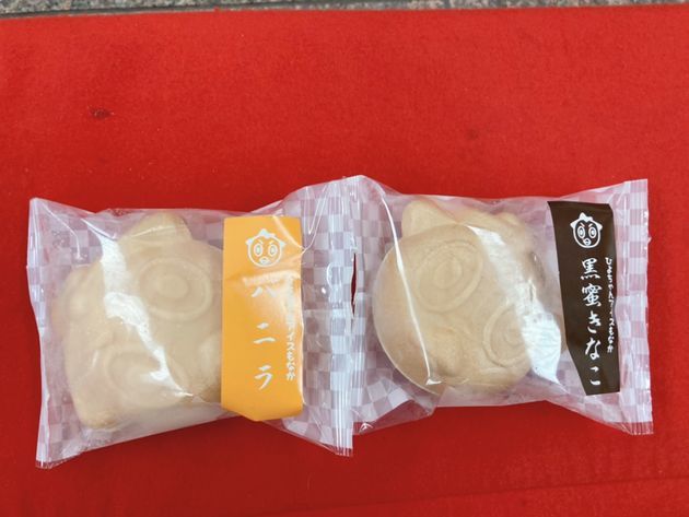 f:id:karadamajikitsui:20201109193328j:plain