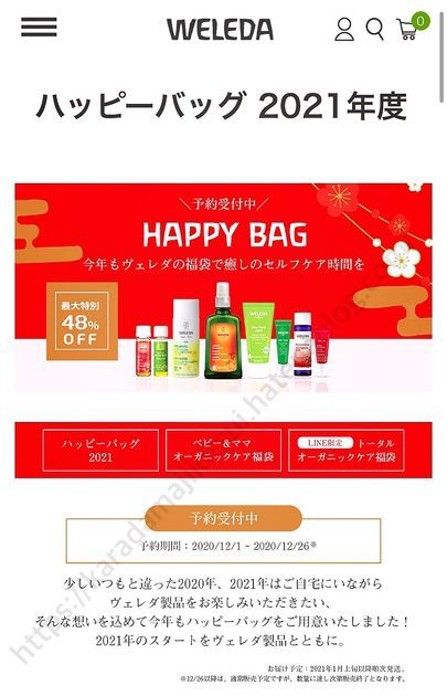 f:id:karadamajikitsui:20201214184033j:plain