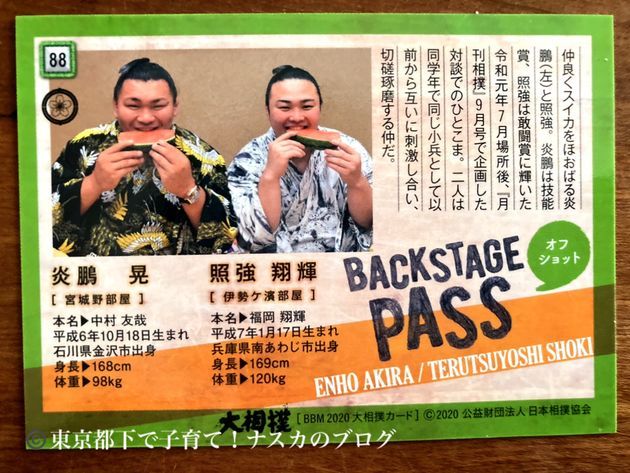 f:id:karadamajikitsui:20210123135739j:plain