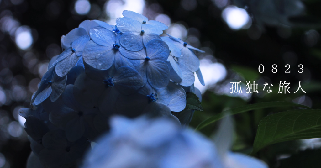 f:id:karagegadaisuki:20170823221600p:plain f:id:karagegadaisuki:20170823221600p:plain