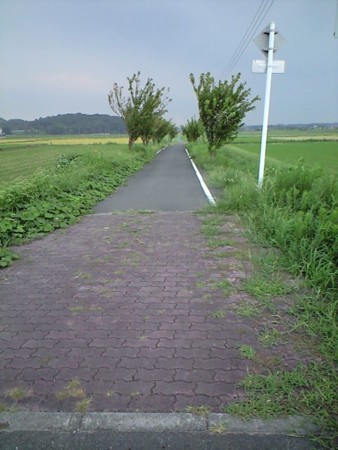 f:id:karakuriShino:20100920155252j:image