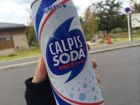 f:id:karakuriShino:20140915141709j:image f:id:karakuriShino:20140915141709j:image