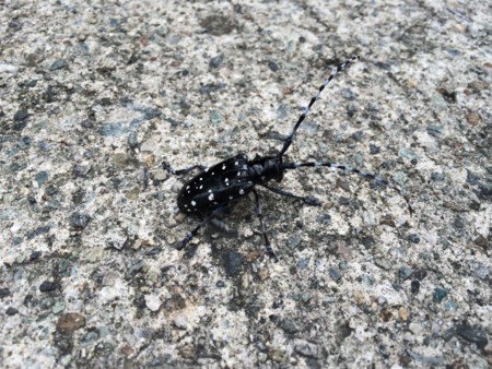 f:id:karakuriShino:20140917095240j:image f:id:karakuriShino:20140917095240j:image