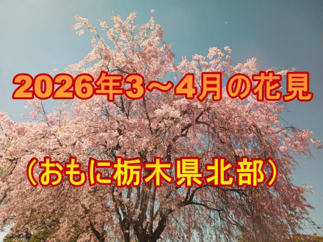 60から真面目な薪ライフ 60から真面目な薪ライフ