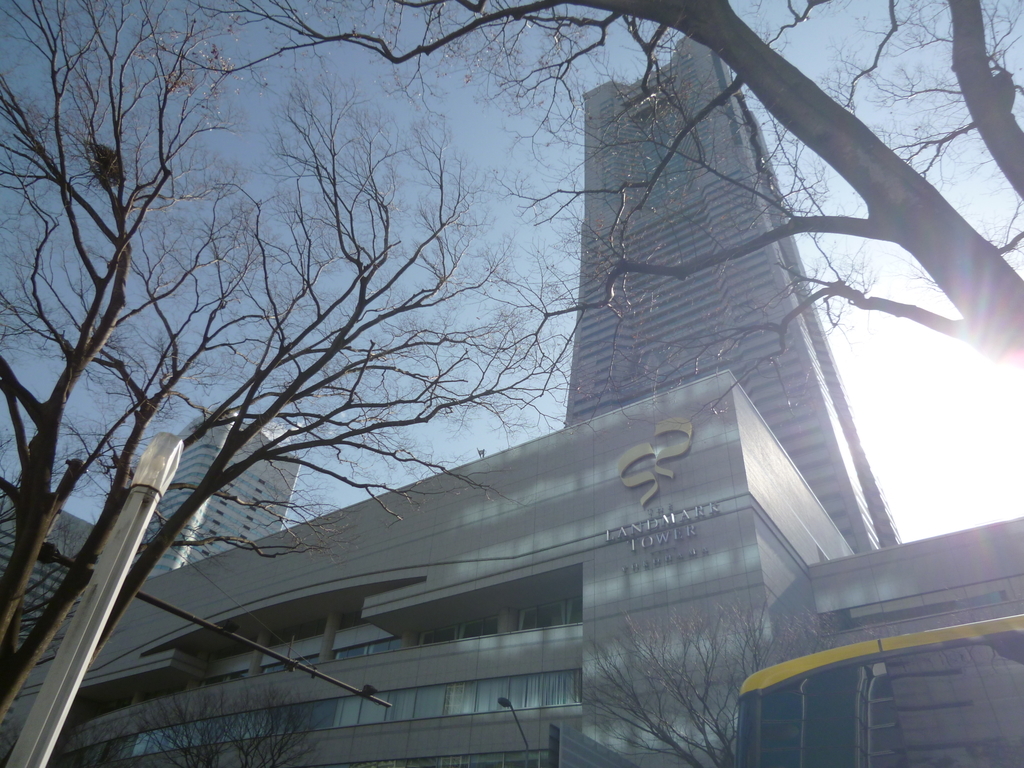 f:id:karamomonikki:20190211190415j:plain f:id:karamomonikki:20190211190415j:plain