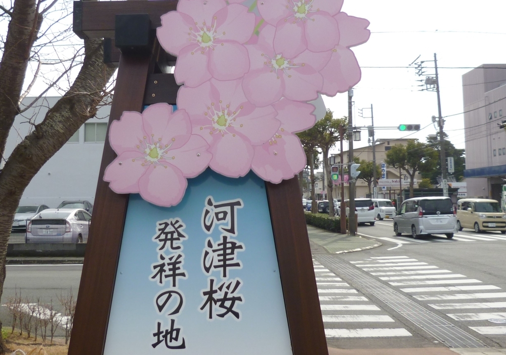 f:id:karamomonikki:20190224164932j:plain f:id:karamomonikki:20190224164932j:plain