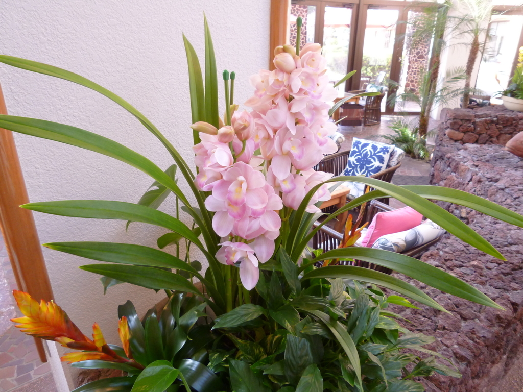 f:id:karamomonikki:20190224174020j:plain f:id:karamomonikki:20190224174020j:plain