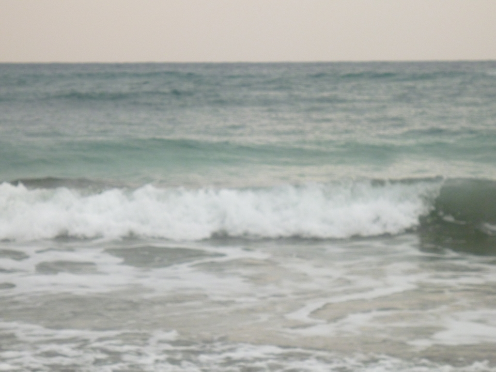 f:id:karamomonikki:20190224175622j:plain f:id:karamomonikki:20190224175622j:plain