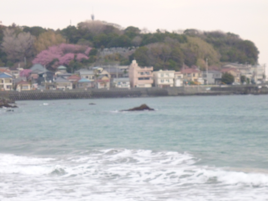 f:id:karamomonikki:20190224175634j:plain f:id:karamomonikki:20190224175634j:plain