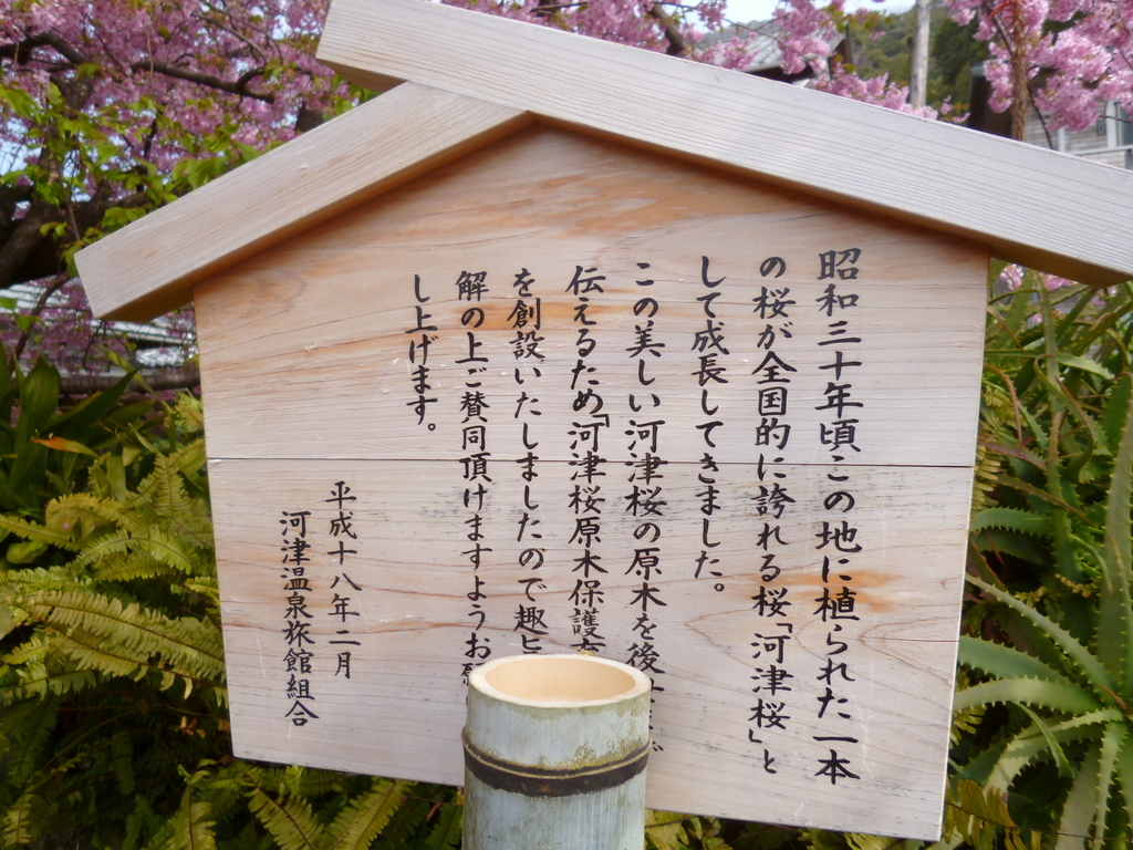 f:id:karamomonikki:20190224191249j:plain f:id:karamomonikki:20190224191249j:plain