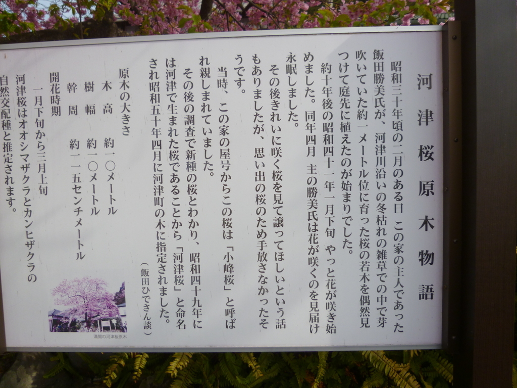 f:id:karamomonikki:20190224191252j:plain f:id:karamomonikki:20190224191252j:plain