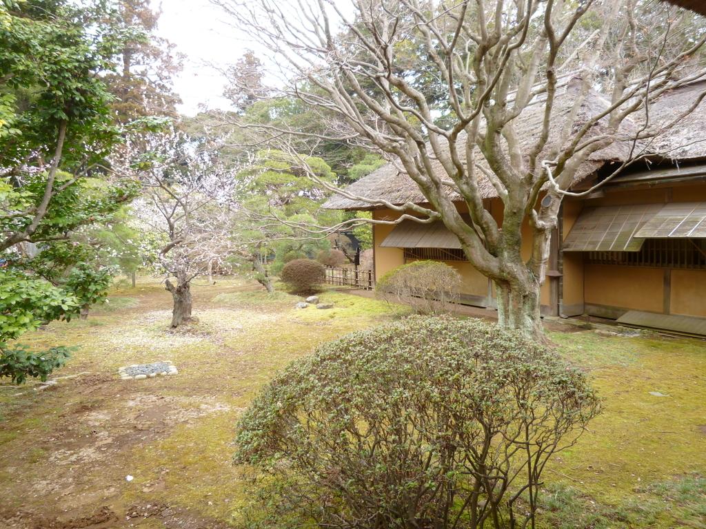 f:id:karamomonikki:20190312203647j:plain f:id:karamomonikki:20190312203647j:plain